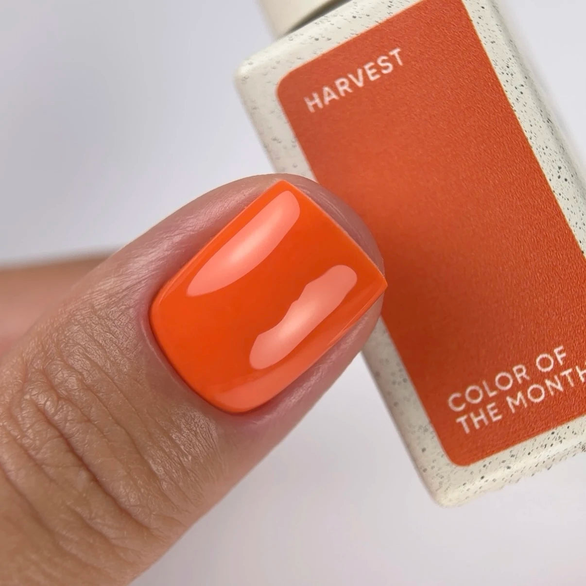 NAILSOFTHEDAY Color of the Month September 2026 Harvest — Orange, deckend in nur einer Schicht, 10 ml